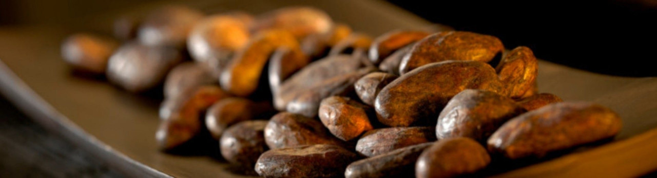 Bannière Lindt Cacao