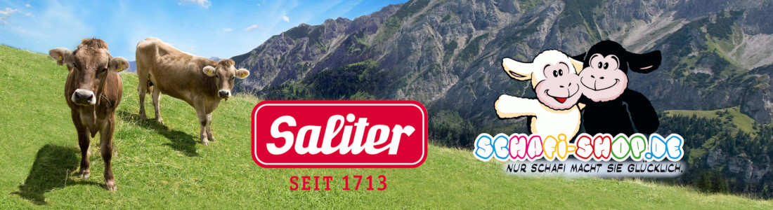 Banner de Saliter