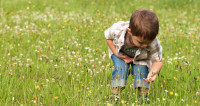 Child on meadow
